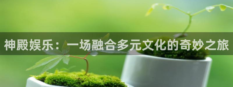 壹号大舞台怎么注册