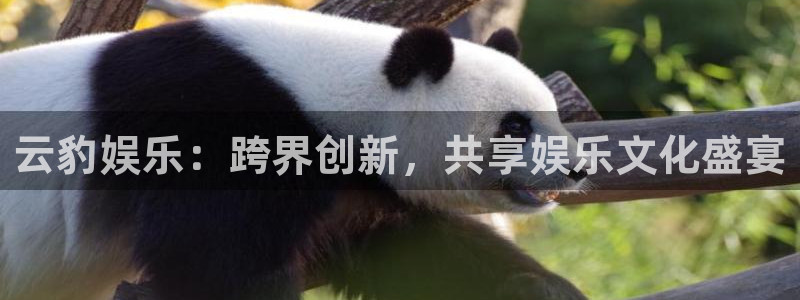 益达娱乐游app