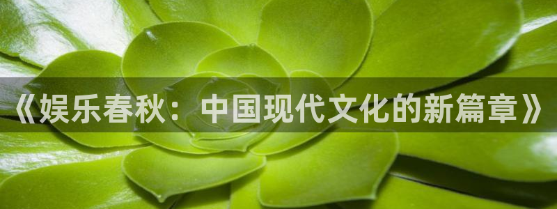 益达娱乐强制退款流程详解