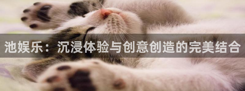 益达娱乐(com.youad.authst)