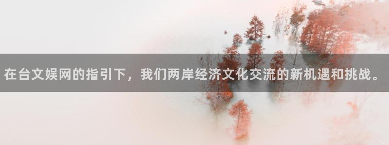 益达娱乐平台app下载：在台文娱网的指引下，我们两岸经济文化交流的新机遇和挑战。