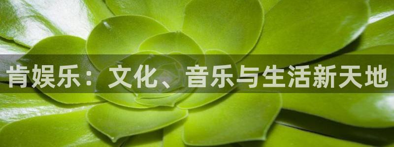 壹号电子娱乐app下载最新版本安装