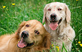 益达娱乐登录:AI为人赋能人为AI赋魂